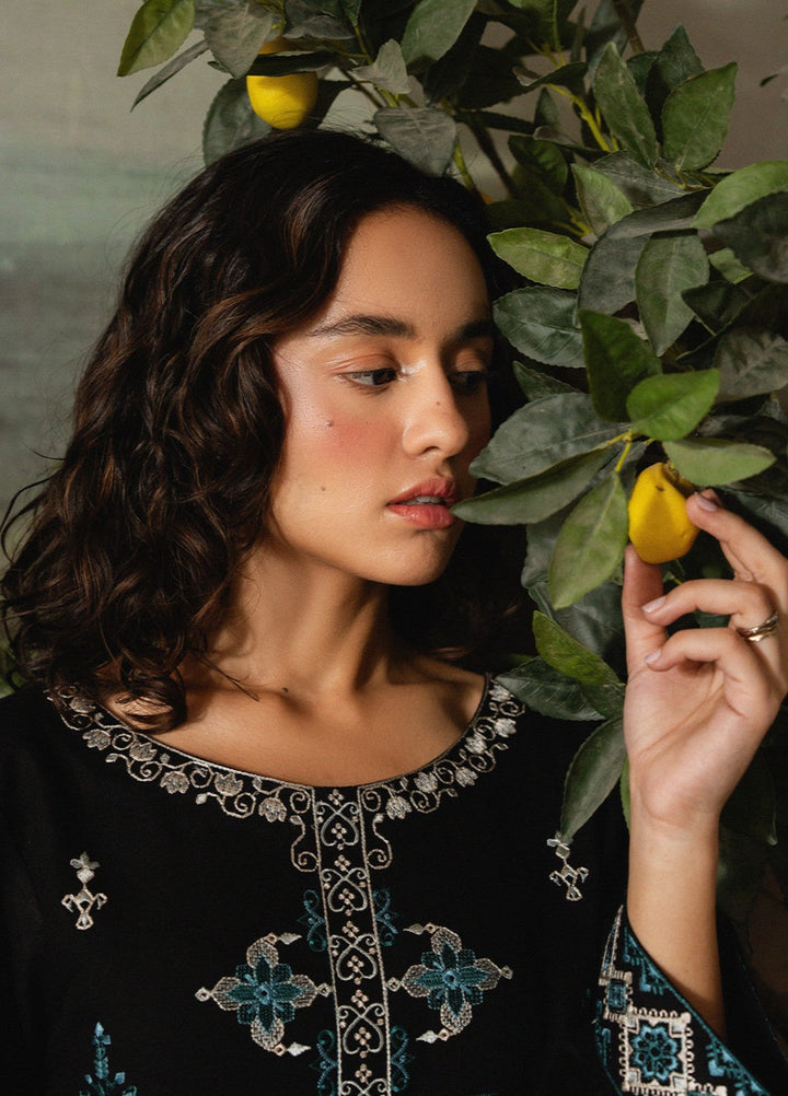 The Art by Yards RTW Embroidered Karandi 2 Piece Suit Poeme Casual Collection