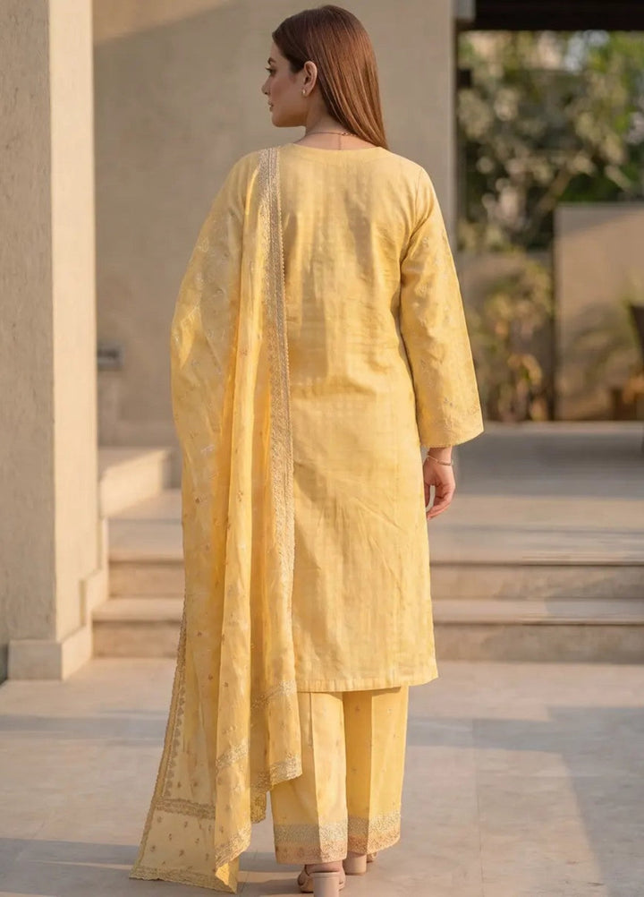 Salitex Women RTW Embroidered Jacquard 3 Piece Suit SPL3PELP051 Casual Collection