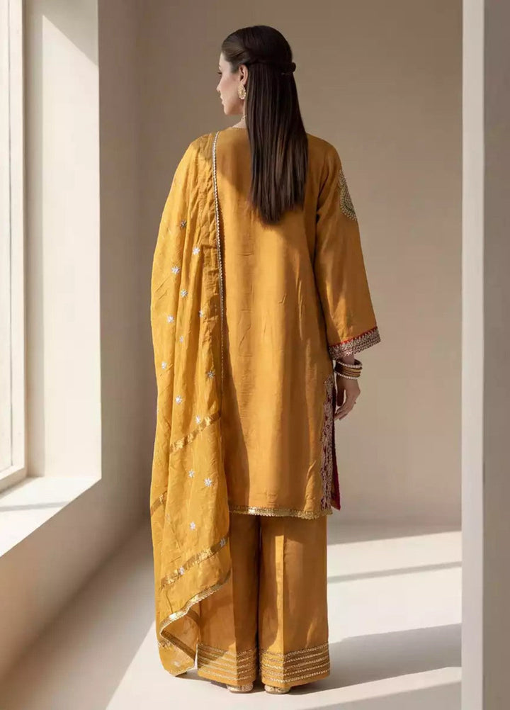 Salitex Women RTW Embroidered Raw Silk 3 Piece Suit SPL3PEF065 Casual Collection