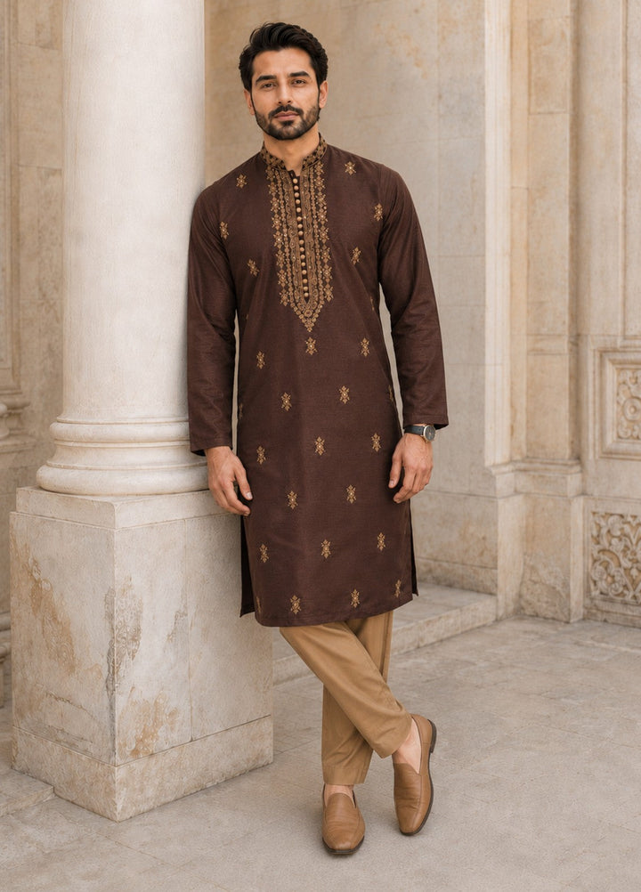TGM Mens RTW Chikankari Chikankari Kurta Pajama Suit Aeron Brown Festive Collection