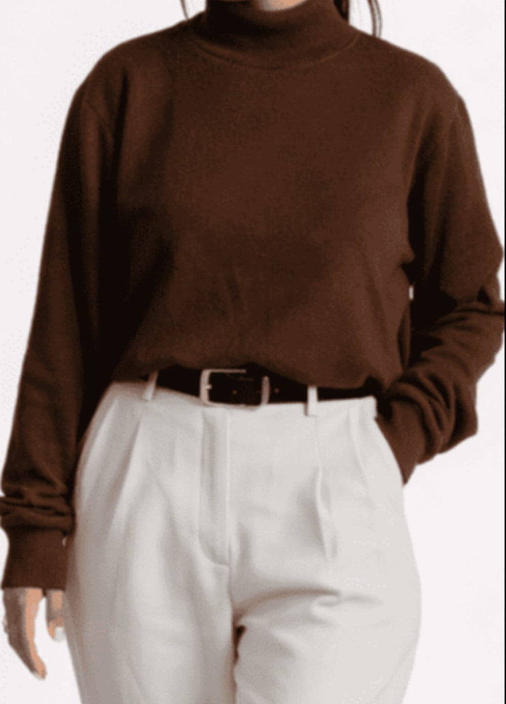 Artezan Inc RTW Solids Cotton Jumper Turtle Neck Casual Collection