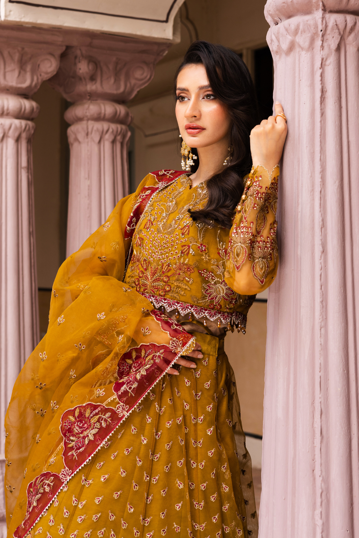 Waresha Women RTW Embroidered Organza 3 Piece Suit MW 06 - Festive Collection