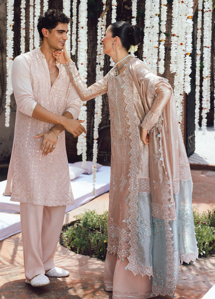 Rang Rasiya Embroidered Organza Suits Unstitched 3 Piece RR25WF D-06 Nayab - Wedding Collections