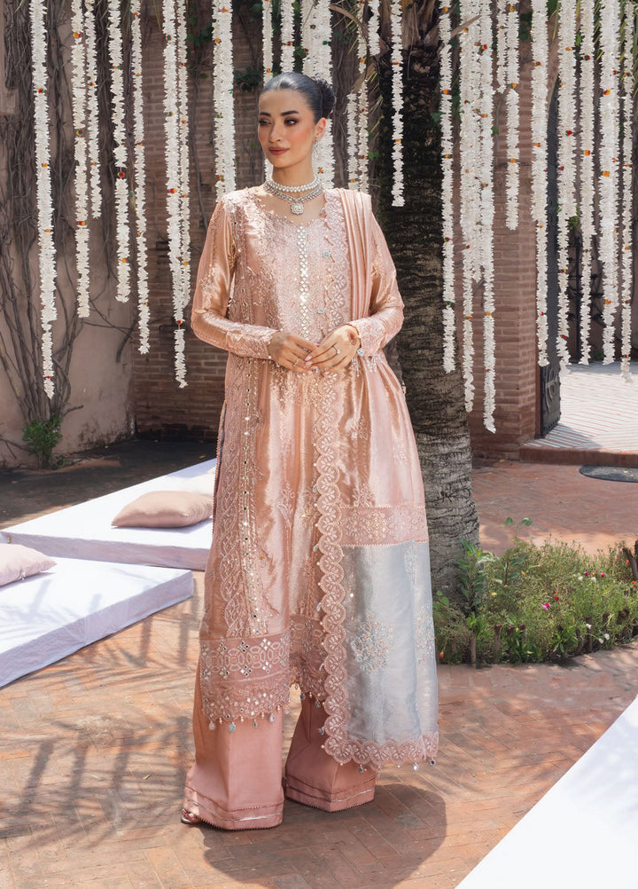 Rang Rasiya Embroidered Organza Suits Unstitched 3 Piece RR25WF D-06 Nayab - Wedding Collections