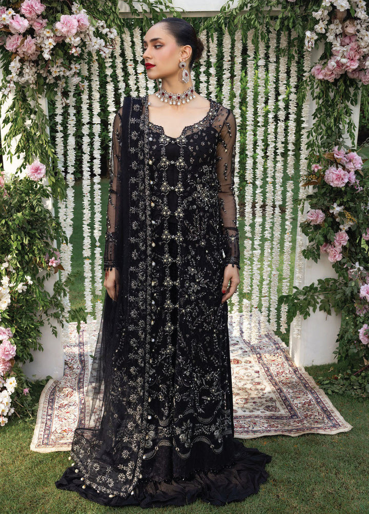 Rang Rasiya Embroidered Cotton Net Suits Unstitched 3 Piece RR25WF D-05 Natasha - Wedding Collections