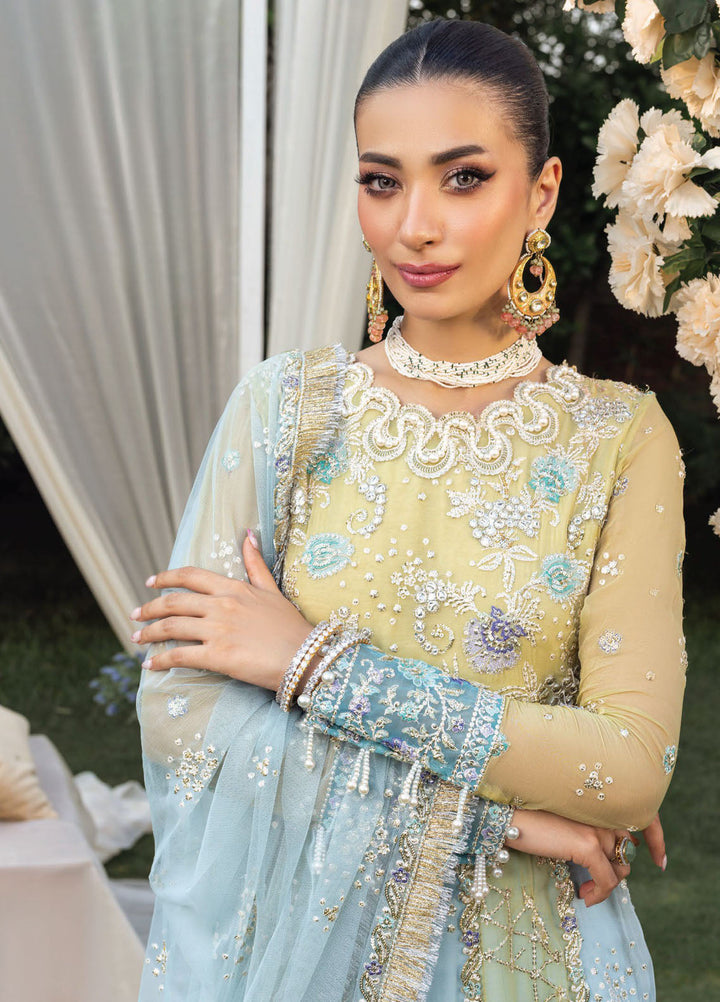 Rang Rasiya Embroidered Organza Suits Unstitched 3 Piece RR25WF D-10 Samara - Wedding Collections