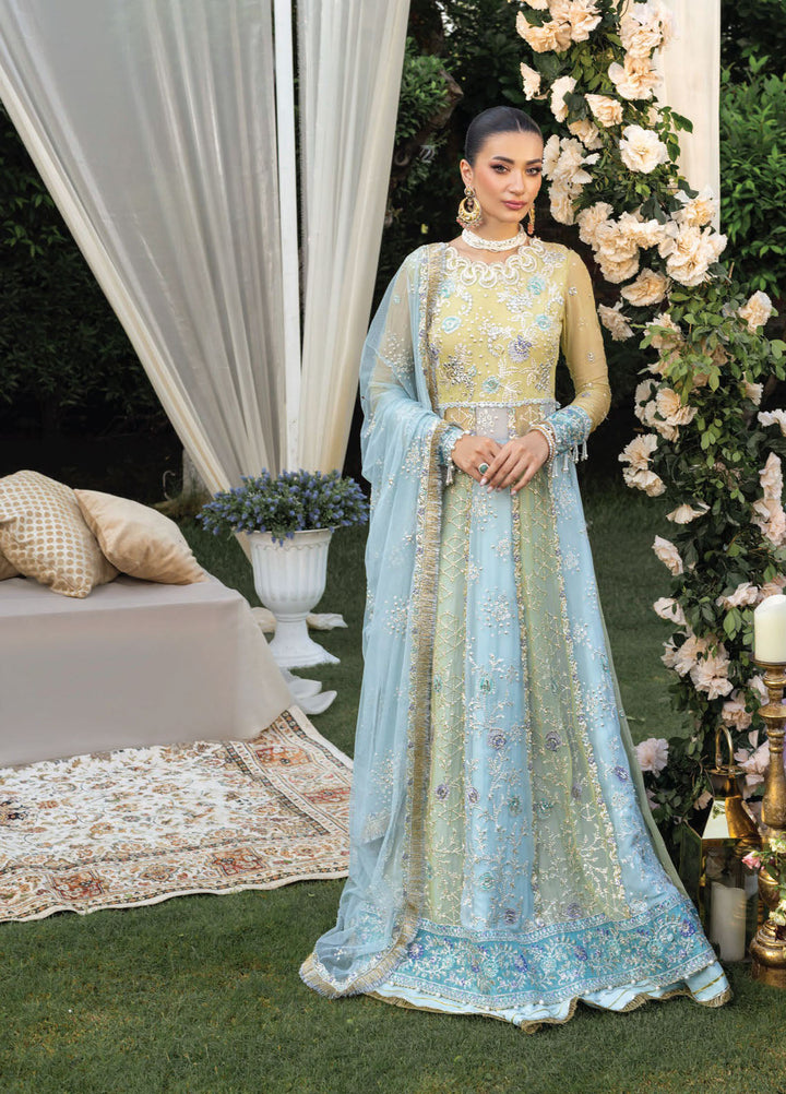 Rang Rasiya Embroidered Organza Suits Unstitched 3 Piece RR25WF D-10 Samara - Wedding Collections