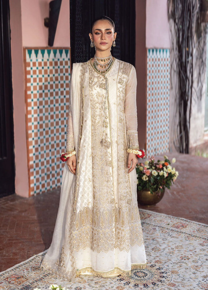 Rang Rasiya Embroidered Cotton Net Suits Unstitched 3 Piece RR25WF D-07 Neha - Wedding Collections