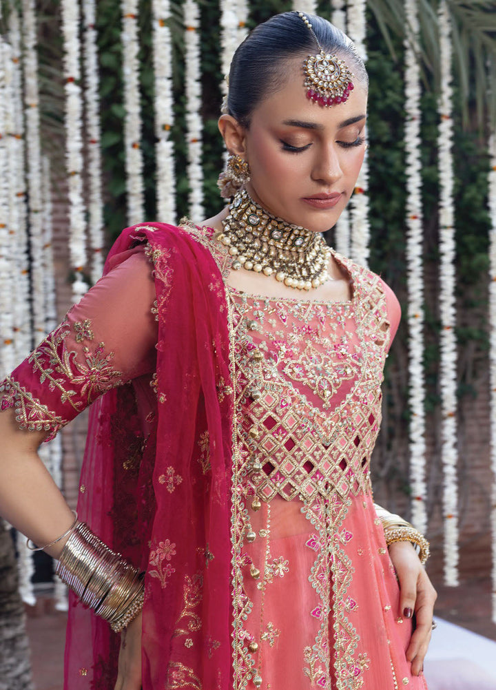 Rang Rasiya Embroidered Organza Suits Unstitched 3 Piece RR25WF D-03 Narmeen - Wedding Collections
