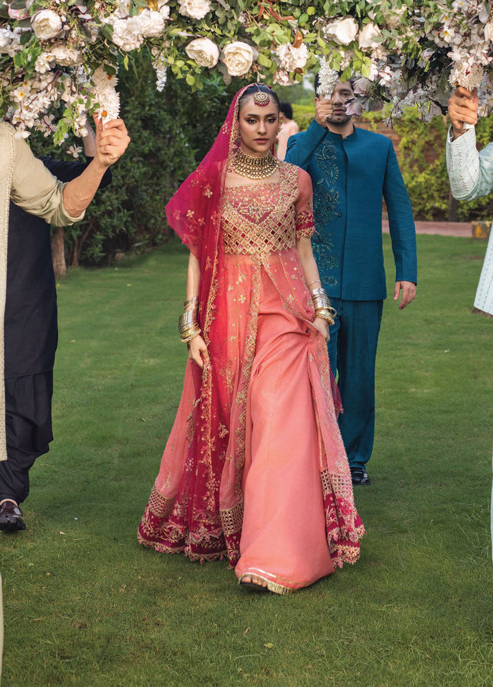 Rang Rasiya Embroidered Organza Suits Unstitched 3 Piece RR25WF D-03 Narmeen - Wedding Collections