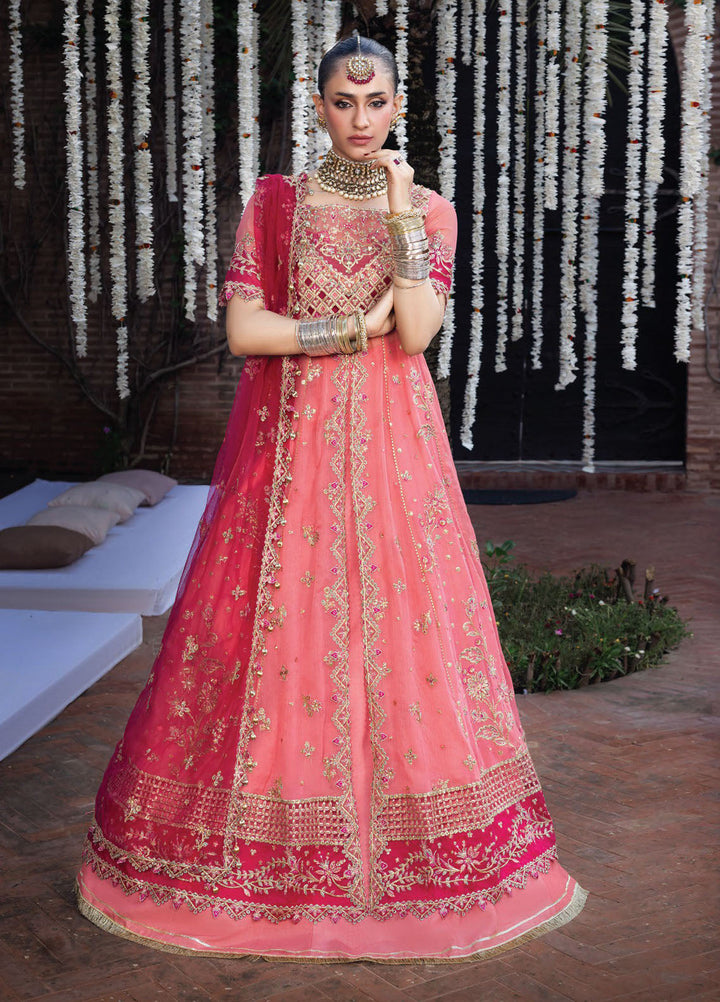 Rang Rasiya Embroidered Organza Suits Unstitched 3 Piece RR25WF D-03 Narmeen - Wedding Collections
