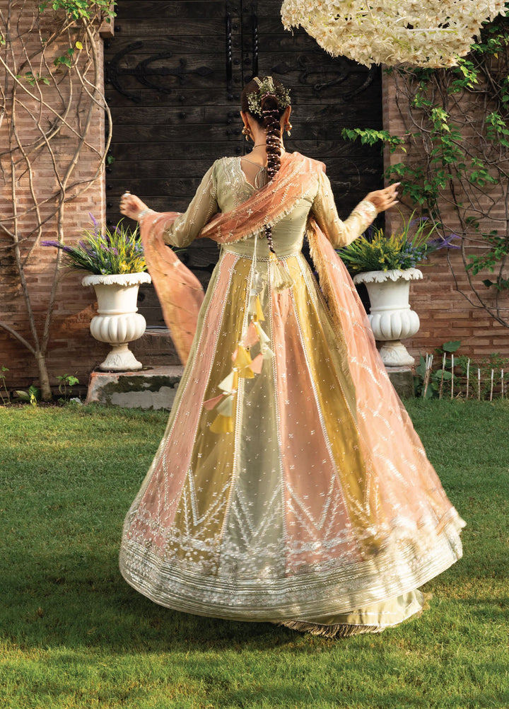 Rang Rasiya Embroidered Chiffon Suits Unstitched 3 Piece RR25WF D-02 Amil - Wedding Collections