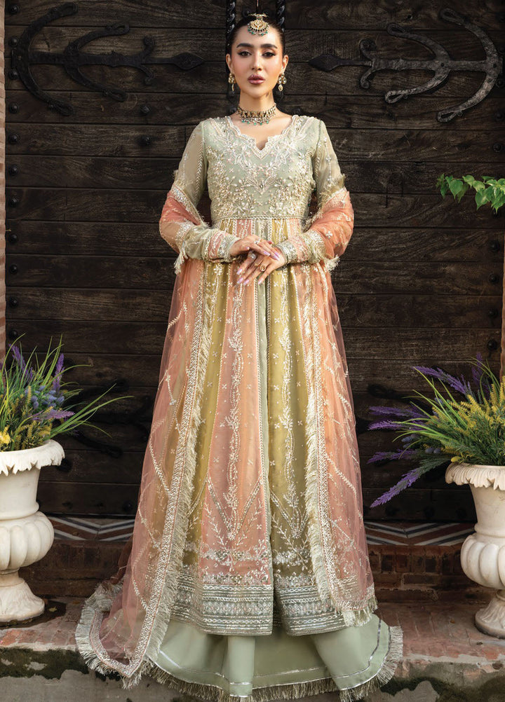 Rang Rasiya Embroidered Chiffon Suits Unstitched 3 Piece RR25WF D-02 Amil - Wedding Collections