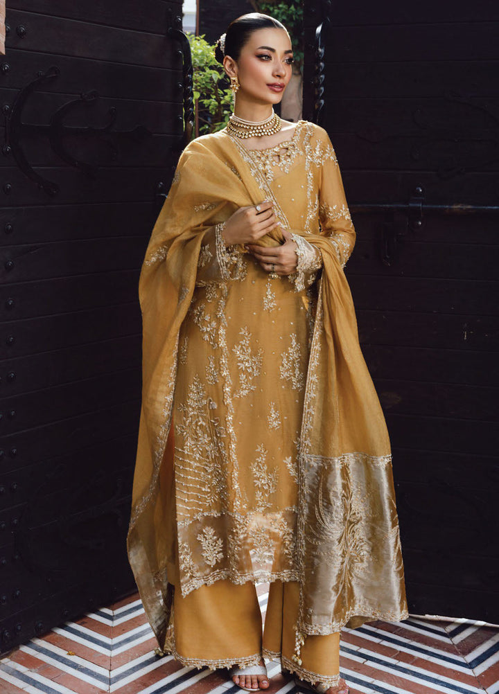 Rang Rasiya Embroidered Cotton Net Suits Unstitched 3 Piece RR25WF D-09 Misha - Wedding Collections