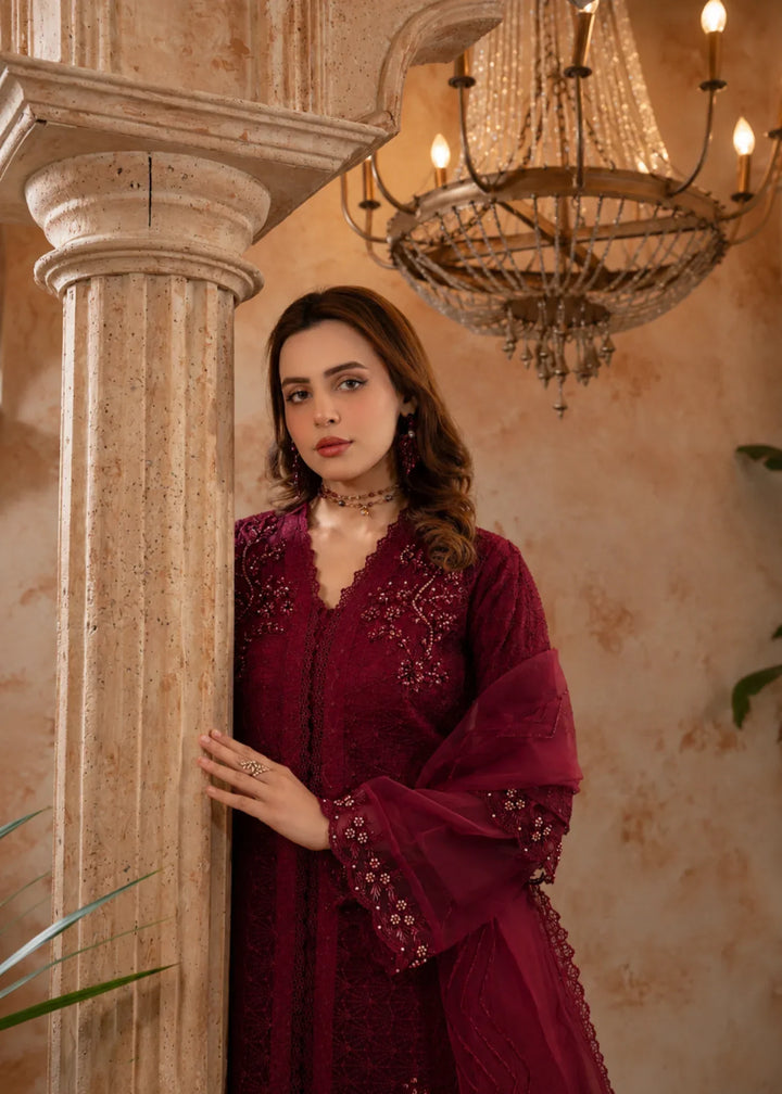 Rang Nirala by Manahils RTW Hand work Organza 3 Piece Suit 181-MAROON Festive Collection