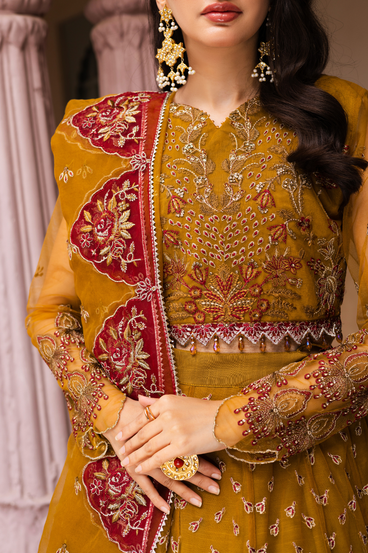 Waresha Women RTW Embroidered Organza 3 Piece Suit MW 06 - Festive Collection