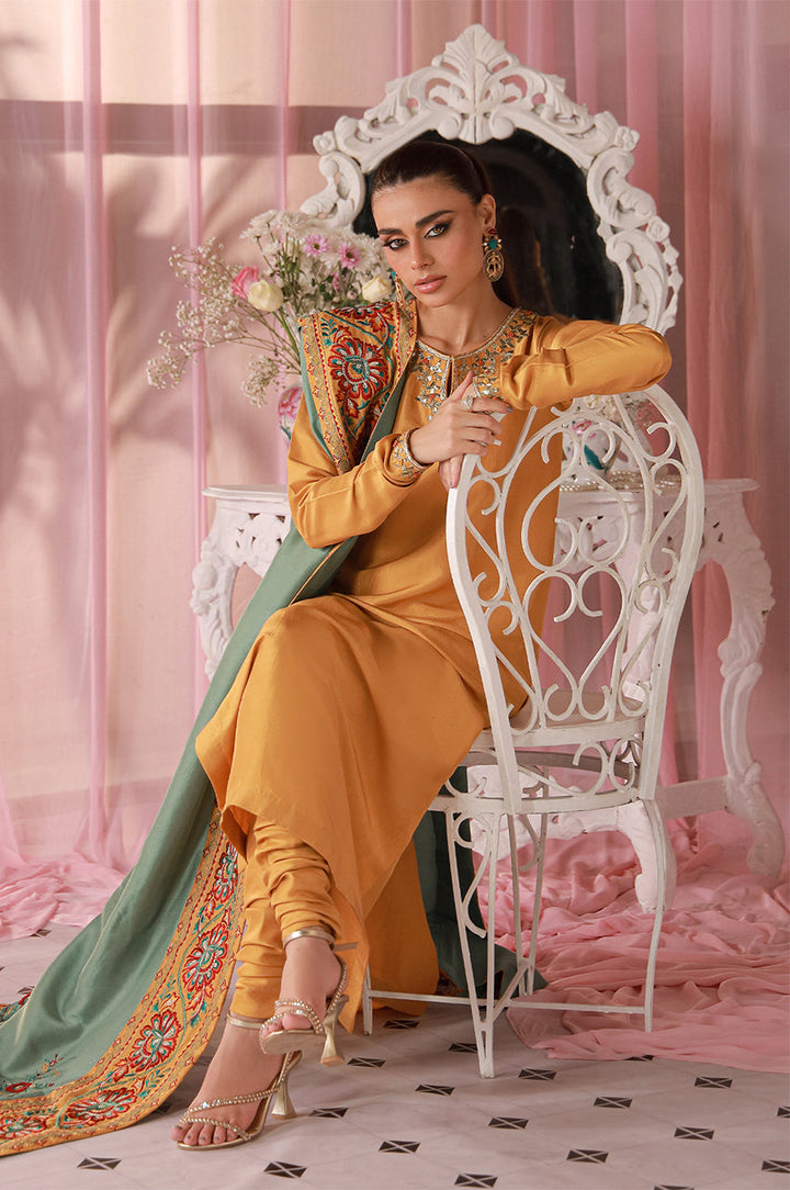 Sera From Nizka By Nida Rehan RTW Embroidered Raw Silk 2 Piece Suit Arvia - Festive Collection