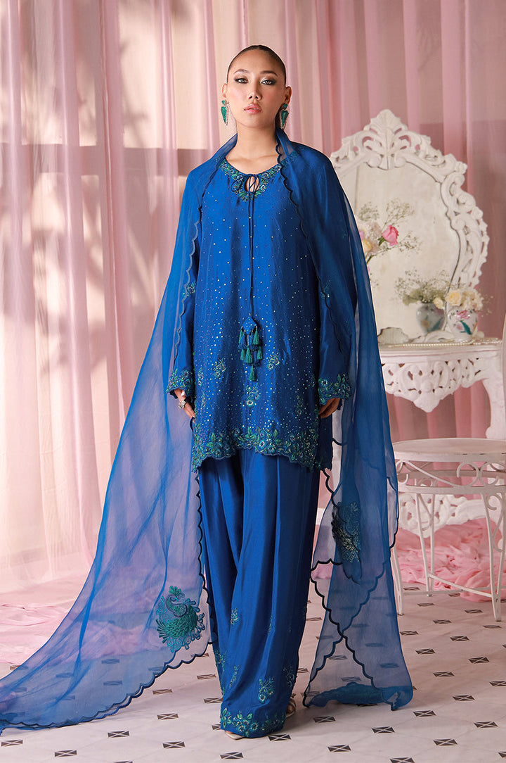Sera From Nizka By Nida Rehan RTW Hand work Khaddi Net 3 Piece Suit Nayel - Festive Collection