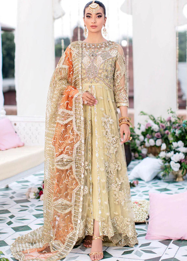 Aangan by Imrozia Premium Embroidered Net Suits Unstitched 3 Piece IMP22A IB-28 Noor-e-Jaan - Bridal Collection