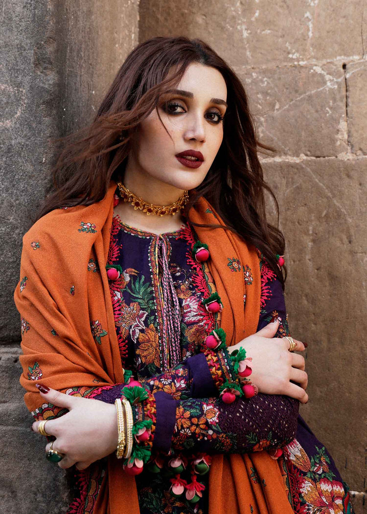 Hussain Rehar Embroidered Karandi Suits Unstitched 3 Piece HRR23KW Amethyst - Winter Collection