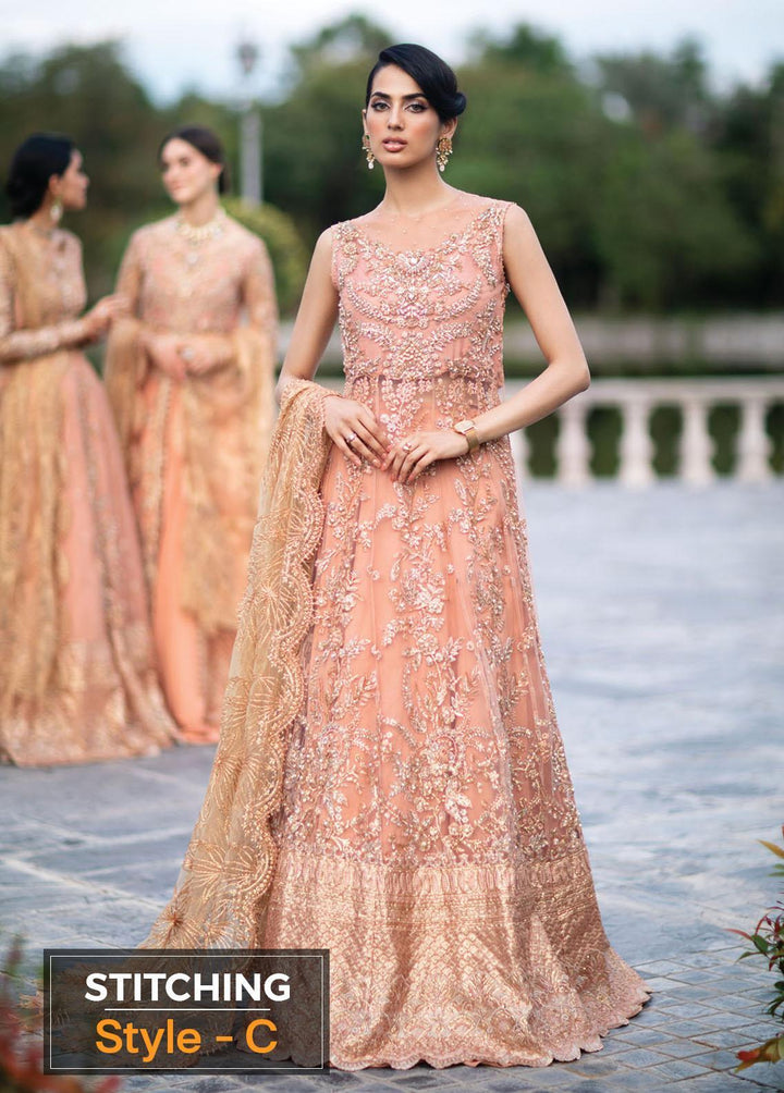 Serendipity by Mushq Embroidered Net Suits Unstitched 4 Piece MQ22S TDL22-05 Nicole - Luxury Wedding Collection