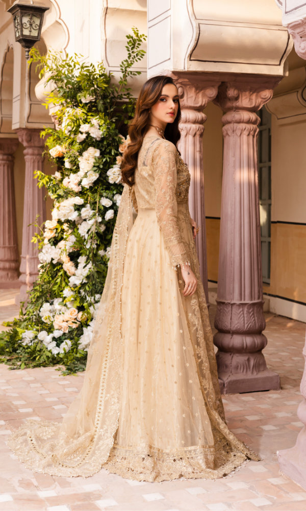 Waresha Women RTW Embroidered Net 3 Piece Suit Golden Bloom Pastel Skin - Festive Collection