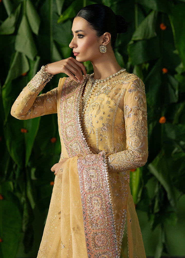 Pehli Nazar by Ayzel Embroidered Suits Unstitched 3 Piece AAFPZ25 D-03 Chahat - Formals Collection