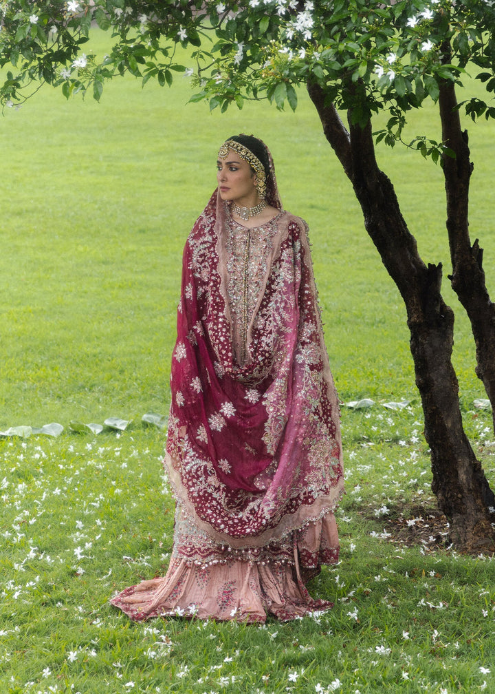 The Doll House by Hussain Rehar Unstitched Embroidered Net 3 Piece Suit HR26UDH Gulrukh D-855 - Wedding Collection
