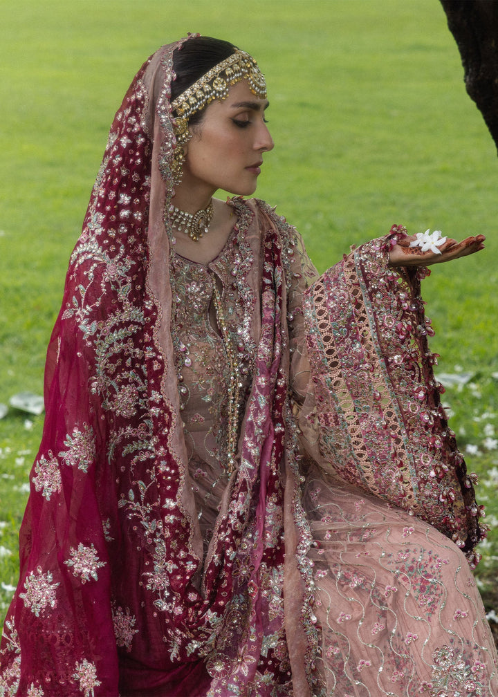 The Doll House by Hussain Rehar Unstitched Embroidered Net 3 Piece Suit HR26UDH Gulrukh D-855 - Wedding Collection
