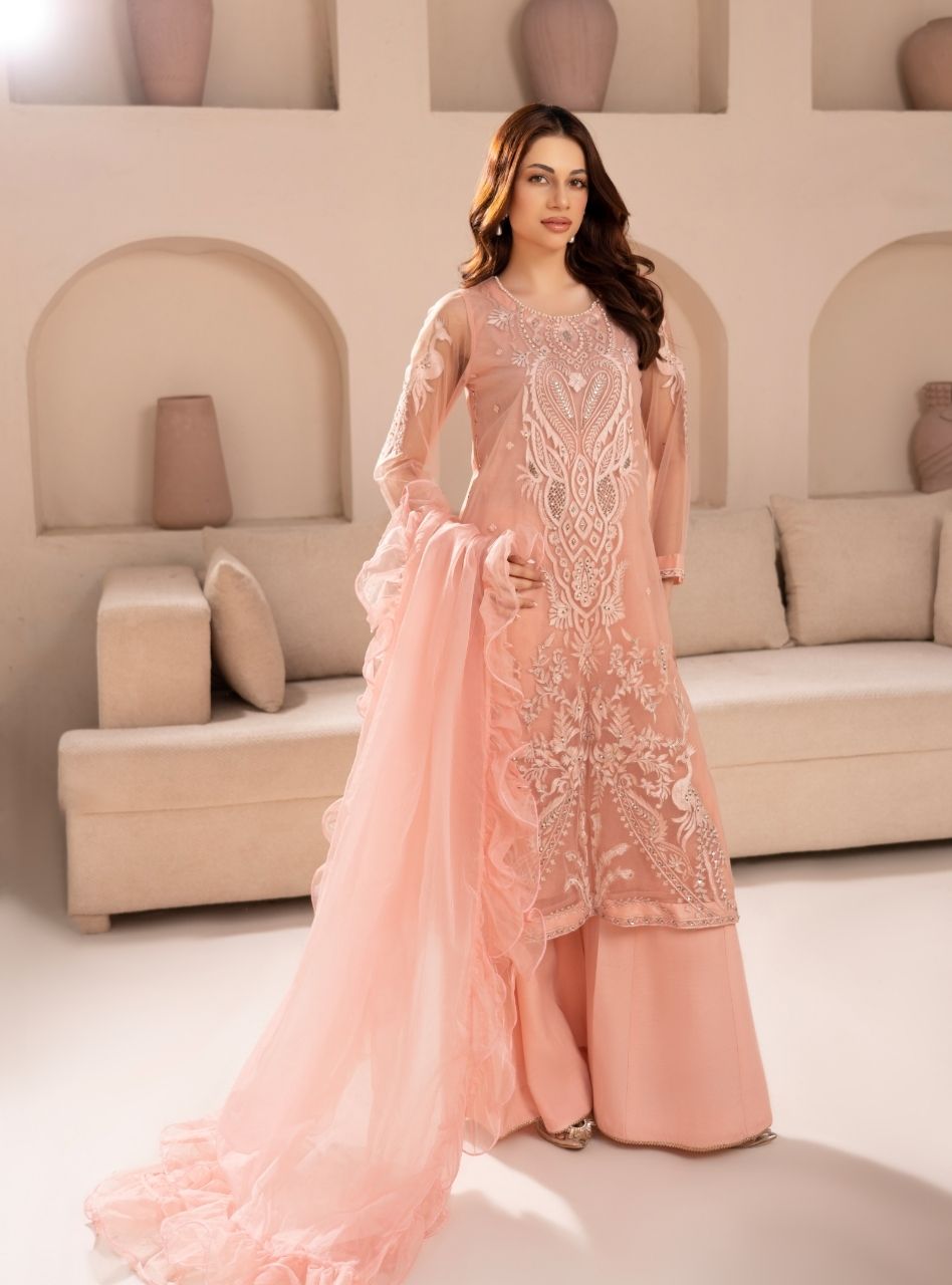 Irtiqa by Anayra Amal RTW Embroidered Net 3 Piece Suit Panchi Festive Collection
