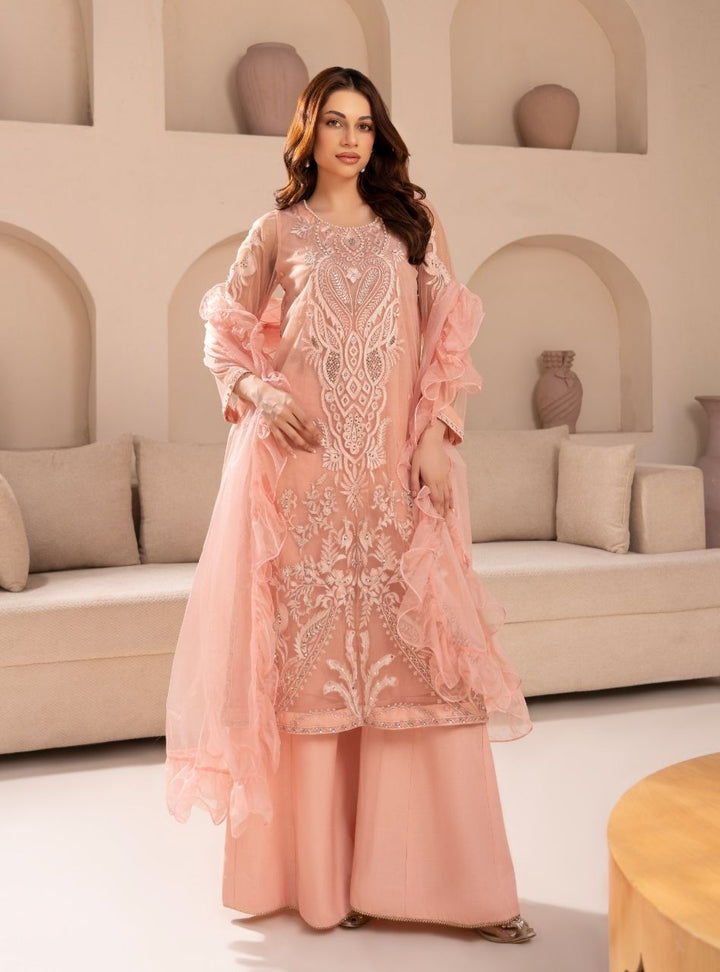 Irtiqa by Anayra Amal RTW Embroidered Net 3 Piece Suit Panchi Festive Collection