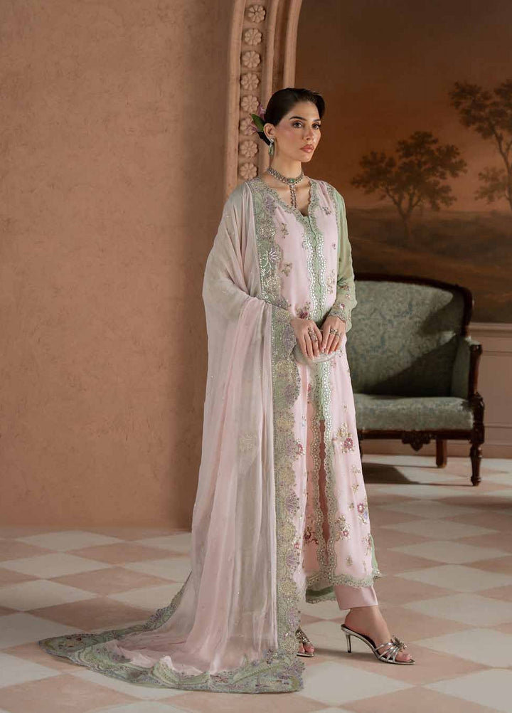 Amaya by Nureh Unstitched Embroidered Chiffon 4 Piece Suit NU26UAC AM-43 - Festive Collection
