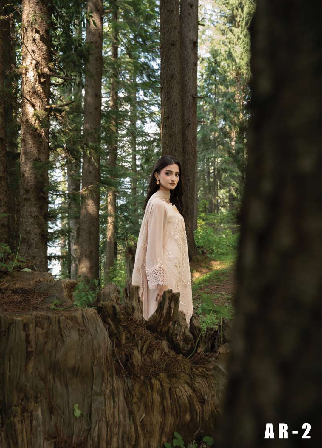 Aura by Zebtan Unstitched Embroidered Chiffon 3 Piece Suit ZB26UAC AR-2 - Festive Collection