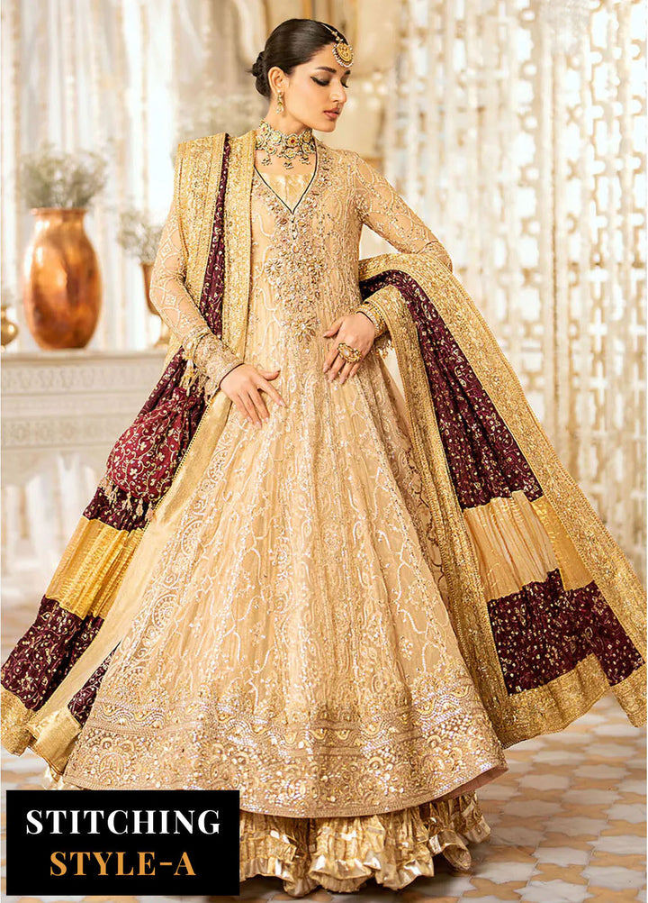 Aik Atelier Embroidered Chiffon Suits Unstitched 3 Piece AIK25EF Vl1 Look 08 - Formals Collection