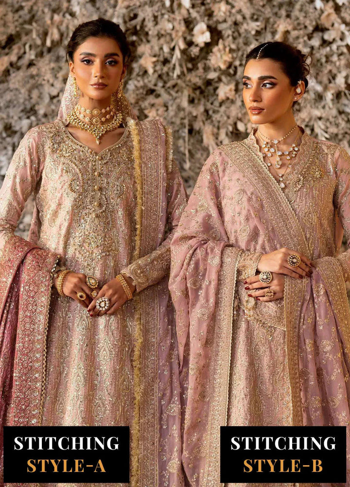 Aik Atelier Embroidered Net Suits Unstitched 3 Piece AIK25EF Vl1 Look-07 - Formals Collection