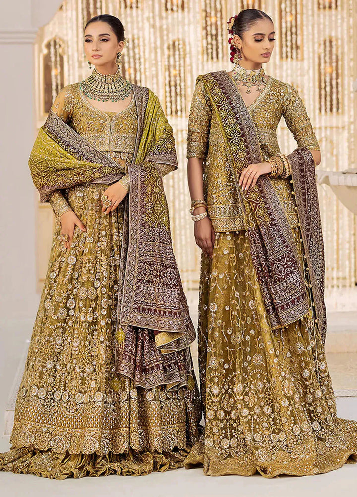 Aik Atelier Embroidered Net Suits Unstitched 3 Piece AIK25EF Vl2 Look 04 - Formals Collection