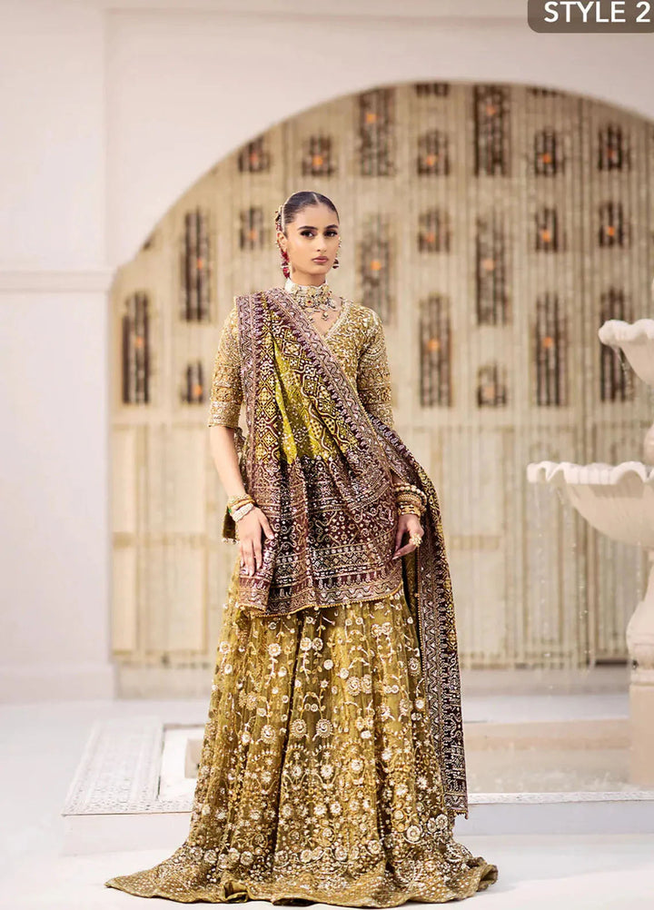 Aik Atelier Embroidered Net Suits Unstitched 3 Piece AIK25EF Vl2 Look 04 - Formals Collection