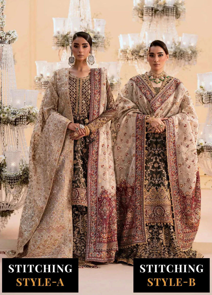 Aik Atelier Embroidered Organza Suits Unstitched 3 Piece AIK25EF Vl1 Look-04 - Formals Collection
