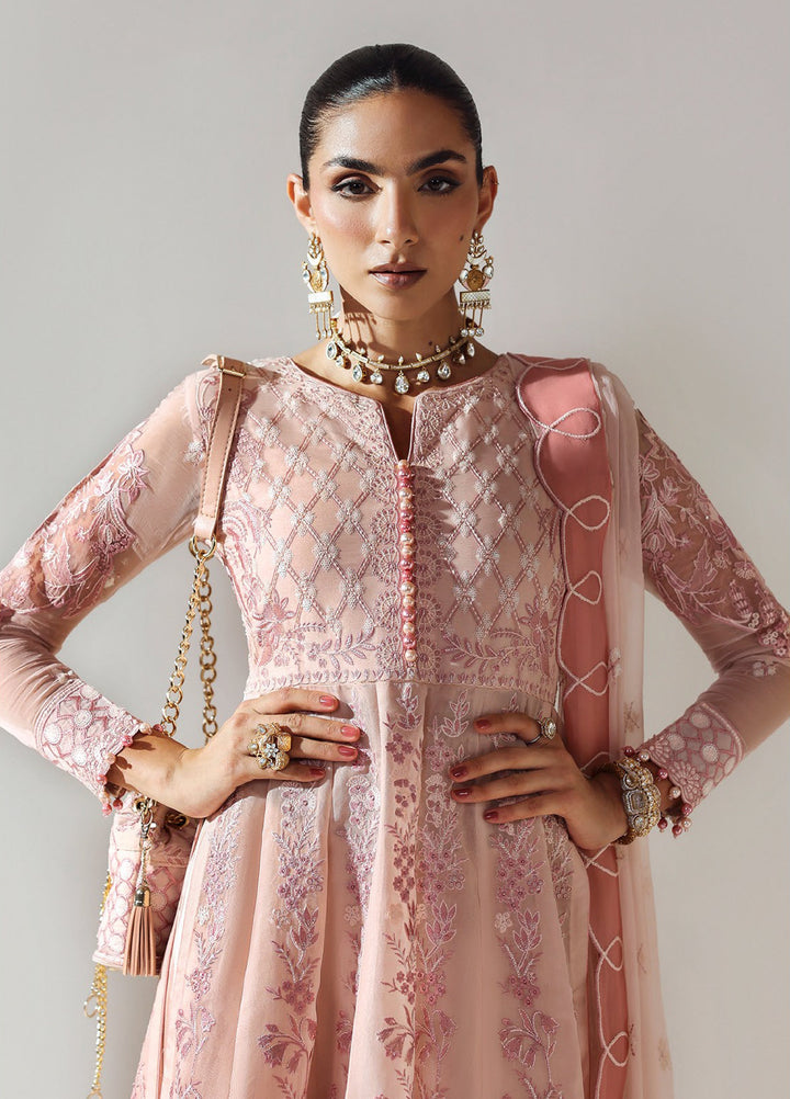 Aymal by Alizeh Fashion Unstitched Chiffon Luxury Embroidered Suits 3 Piece AFB25BC D-07 Ilman - Formals Collection