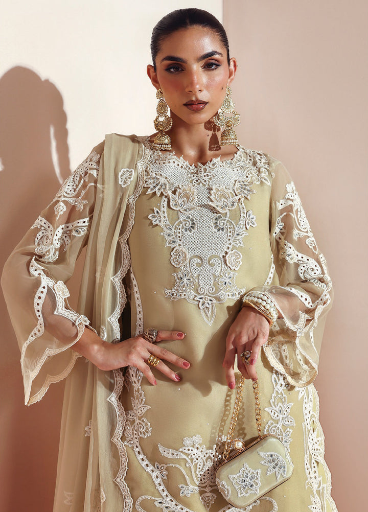 Aymal by Alizeh Fashion Unstitched Chiffon Luxury Embroidered Suits 3 Piece AFB25BC D-09 Aliha - Formals Collection