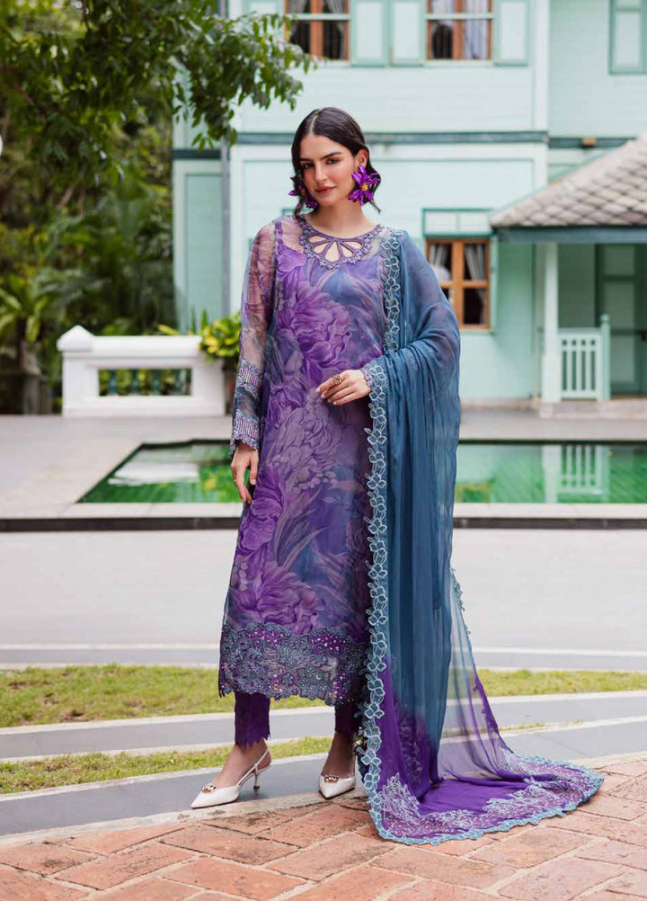 Ballerina by Nureh Unstitched Embroidered and Embellished  Chiffon 4 peice NU25BF NU2-185 - Formals Collection