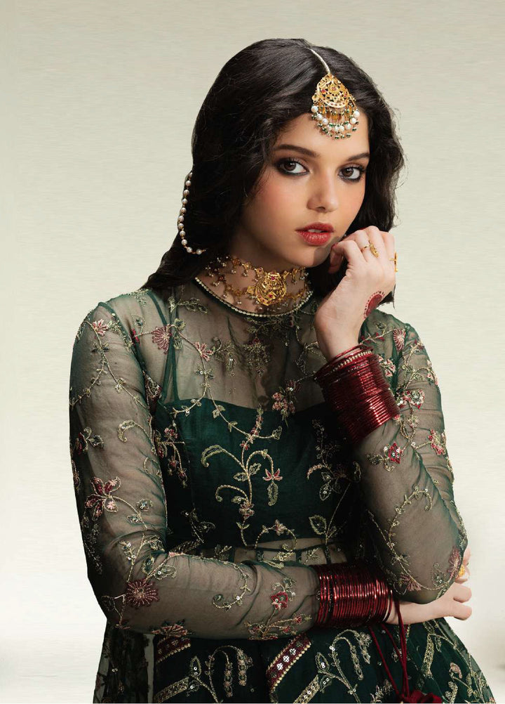 Zara Shahjahan Unstitched Wedding Embroidered Organza Suits 3 Piece ZS25WU D-5 Bayaan - Wedding Collection