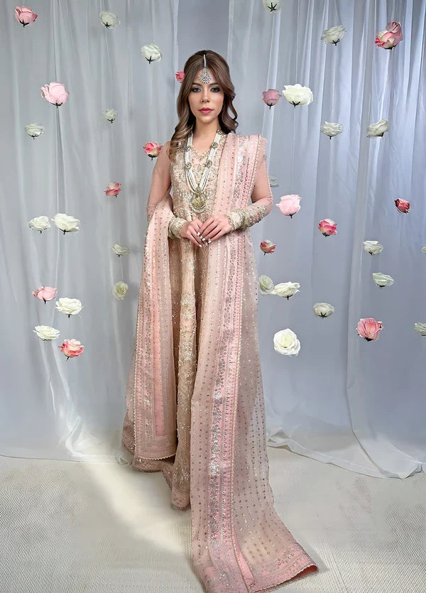 Sahane The Wedding Chapter Unstitched Organza 3 Piece Suit CT 36002 Florisse- Formals Collection