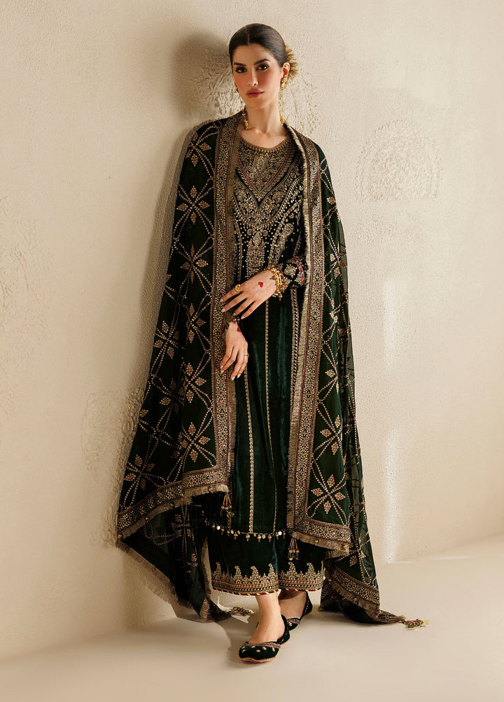 Chandni by Jazmin Unstitched Embroidered Velvet 3 Piece Suit JZ26UVC SHABNOOR CVF-26-D07 - Wedding Collection