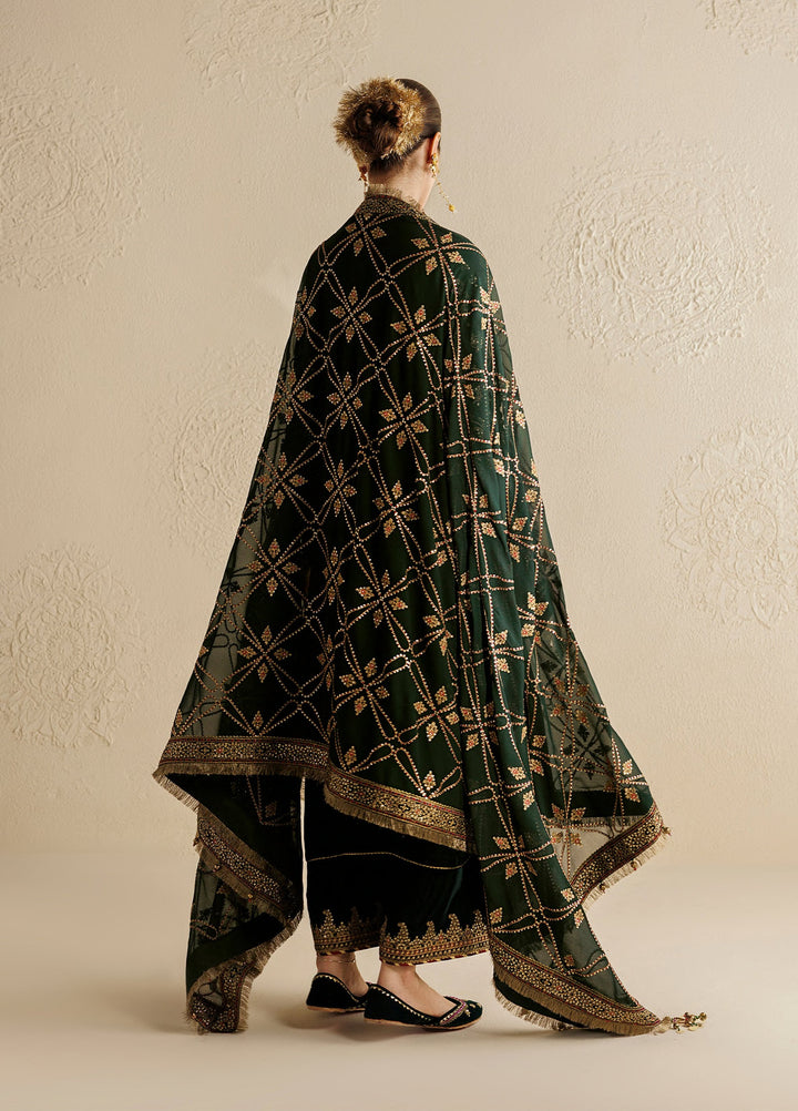 Chandni by Jazmin Unstitched Embroidered Velvet 3 Piece Suit JZ26UVC SHABNOOR CVF-26-D07 - Wedding Collection