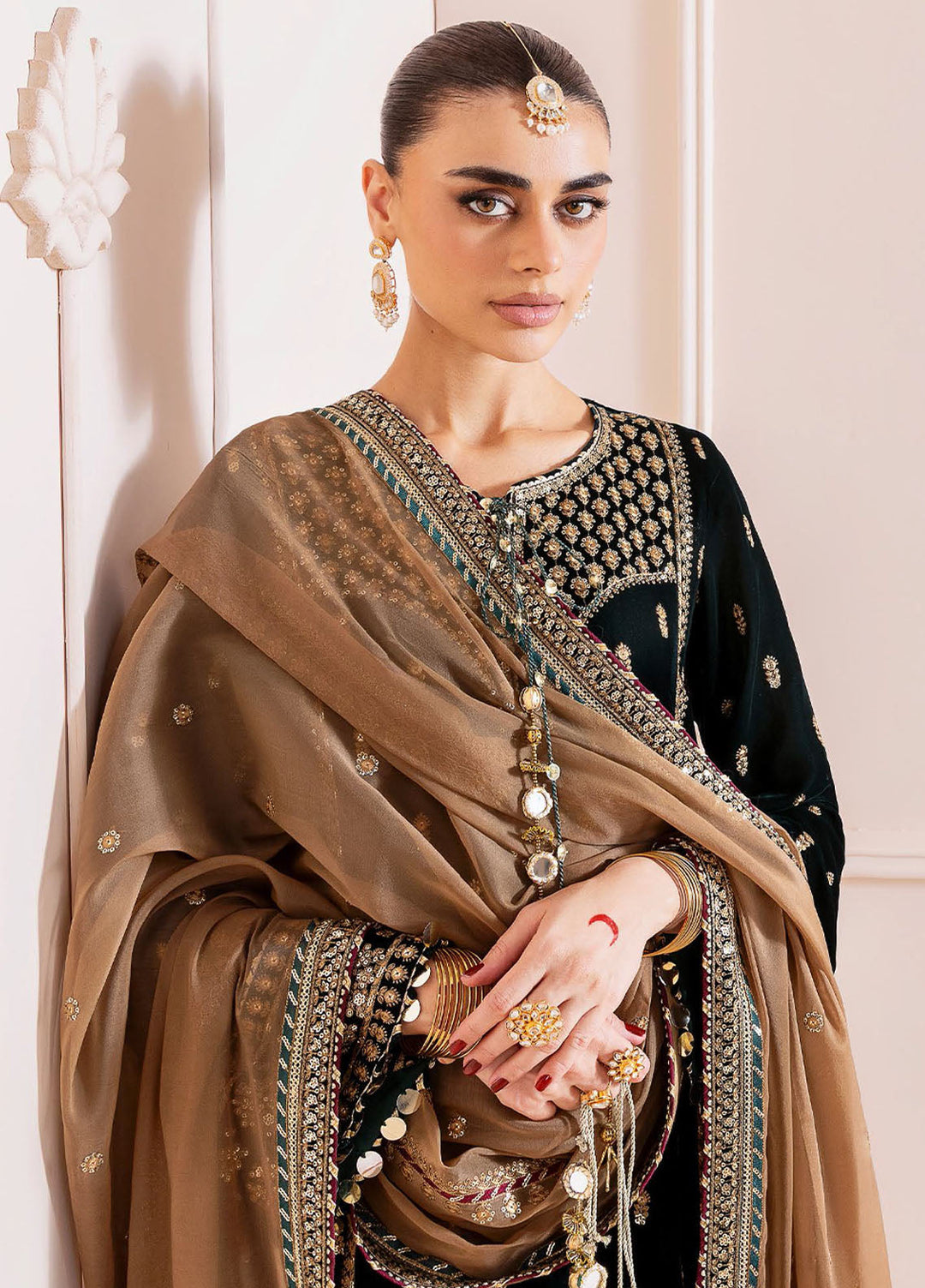 Jazmin Embroidered Velvet Suits Unstitched 3 Piece JZ25CU Cvf D-01 Raani - Formals Collection