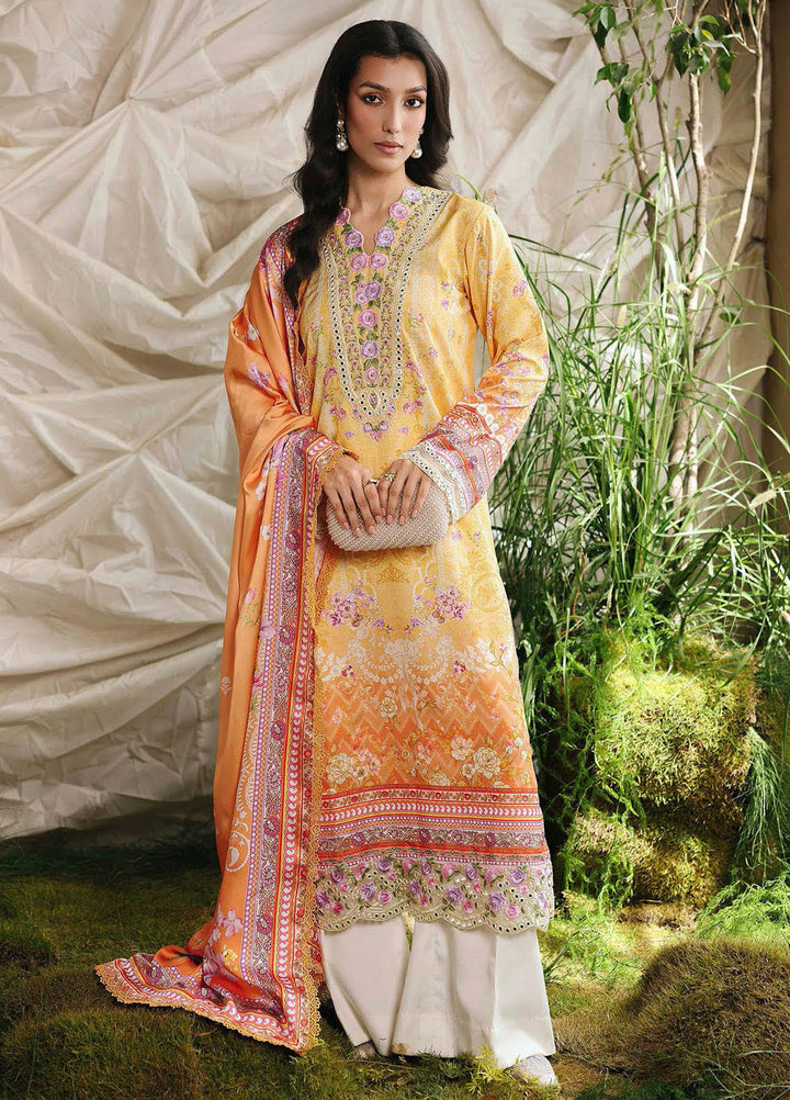 Silah by RajBari Embroidered Raw Silk Suits Unstitched 3 Piece RB25SE D-03 - Festive Collection