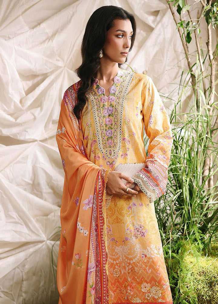 Silah by RajBari Embroidered Raw Silk Suits Unstitched 3 Piece RB25SE D-03 - Festive Collection