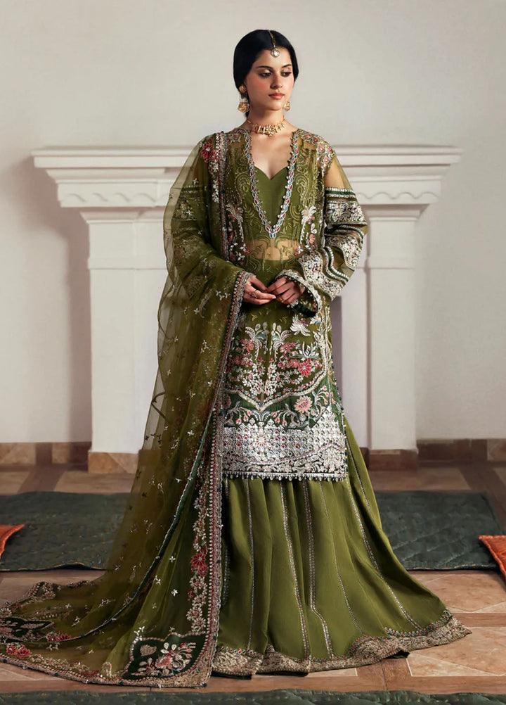 Afrozeh Embroidered Net Suits Unstitched 3 Piece AF25SA D-04 Zoon - Wedding Collection