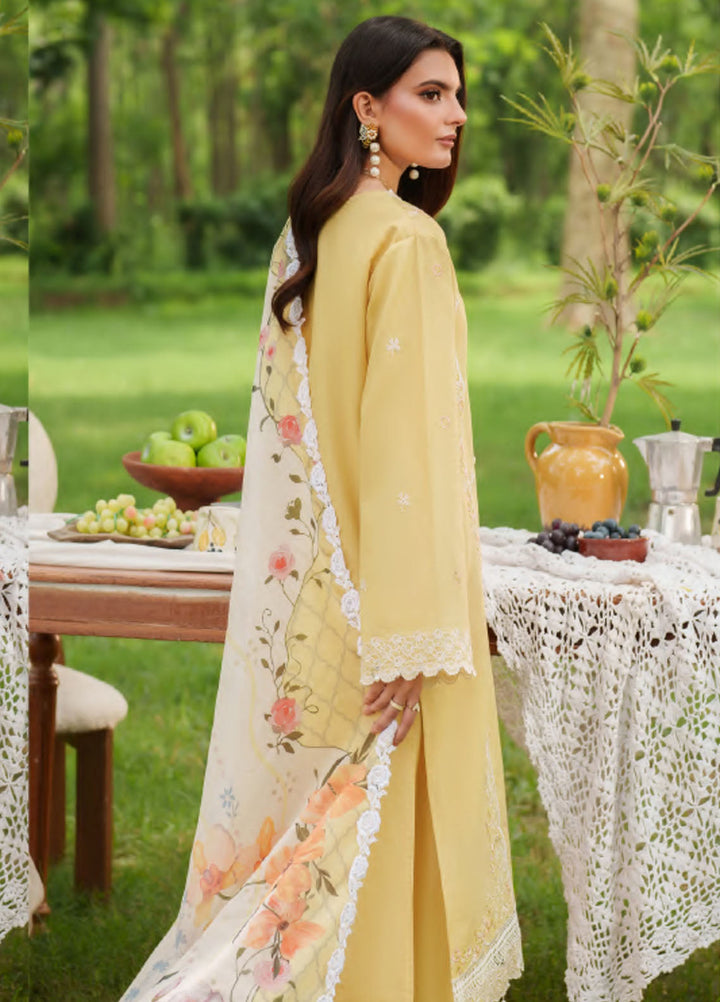 Eden by Asifa Nabeel Embroidered Cambric Suits Unstitched 3 Piece AN25ED D-06 Golden Dust - Winter Collection